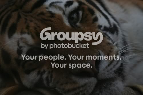 Tiger.jpg