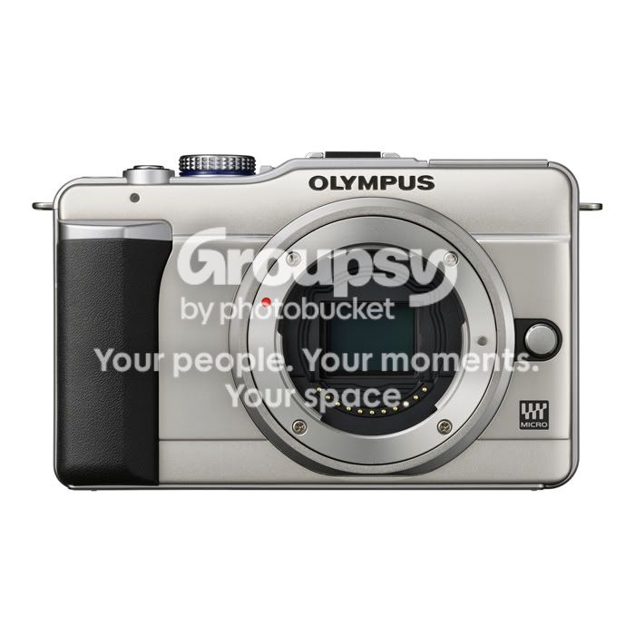 Olympus-E-PL1-Gold-body-front.jpg