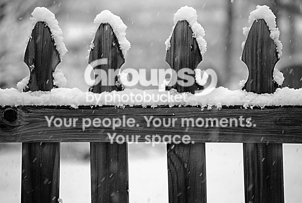 snowfence_zps9fc4c1d7.jpg
