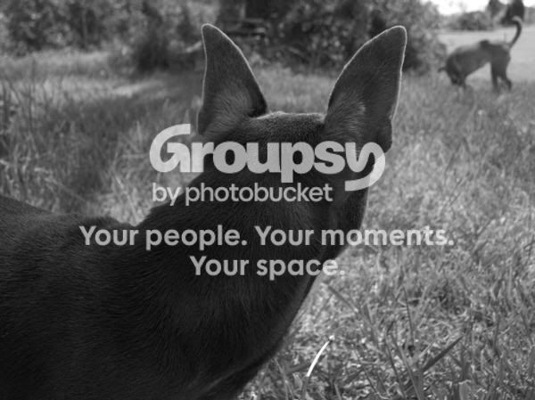 photoforum1.jpg