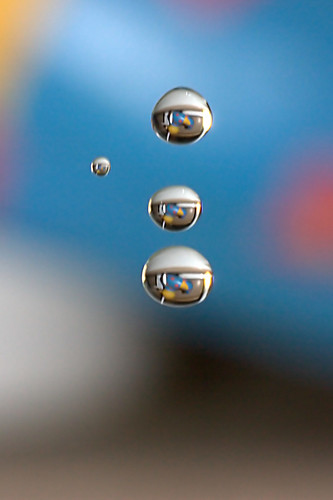 2884367202_33d18d5383.jpg