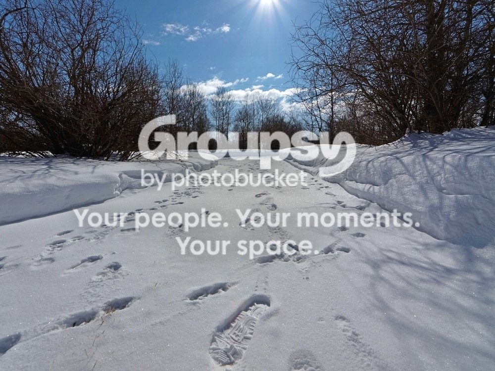 Footprintsinthesnow_DxOCustom_zps1824c25a.jpg