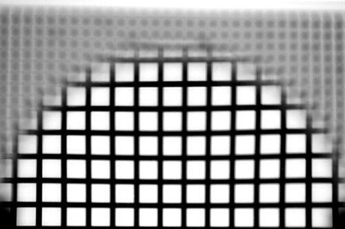 8231592021_496cb9ccc3.jpg