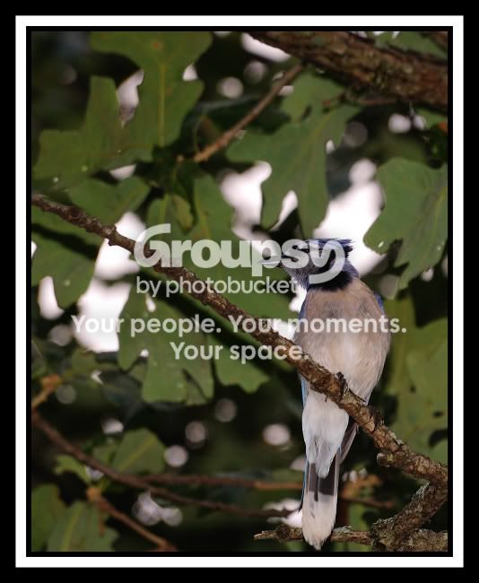 2008-07-26web.jpg