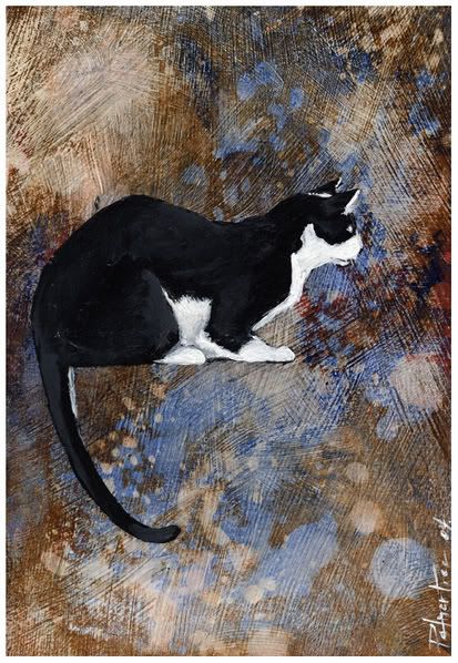 blackwhitecat.jpg
