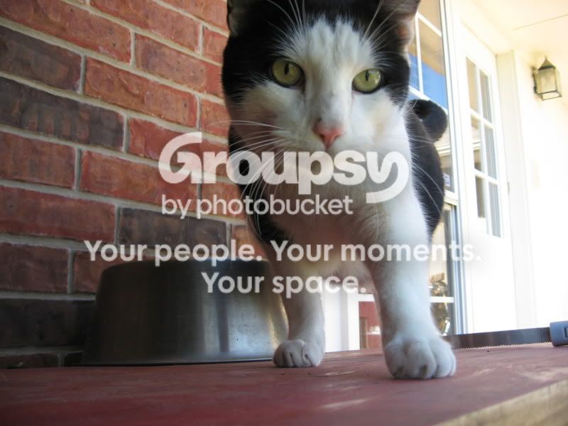 family013.jpg