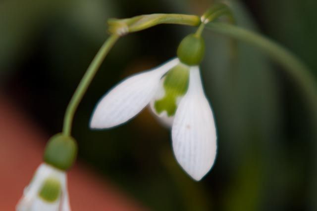 _MG_3288.jpg
