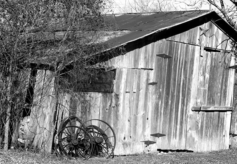 texas023.jpg