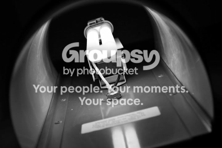30871_10150162454800244_543495243_1.jpg