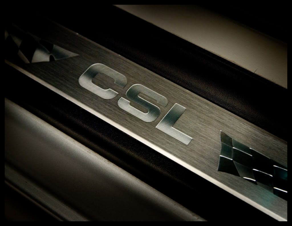 CSLdoorinlay.jpg