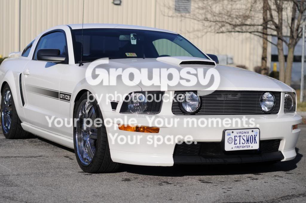 mustang2_zps89753d7e.jpg