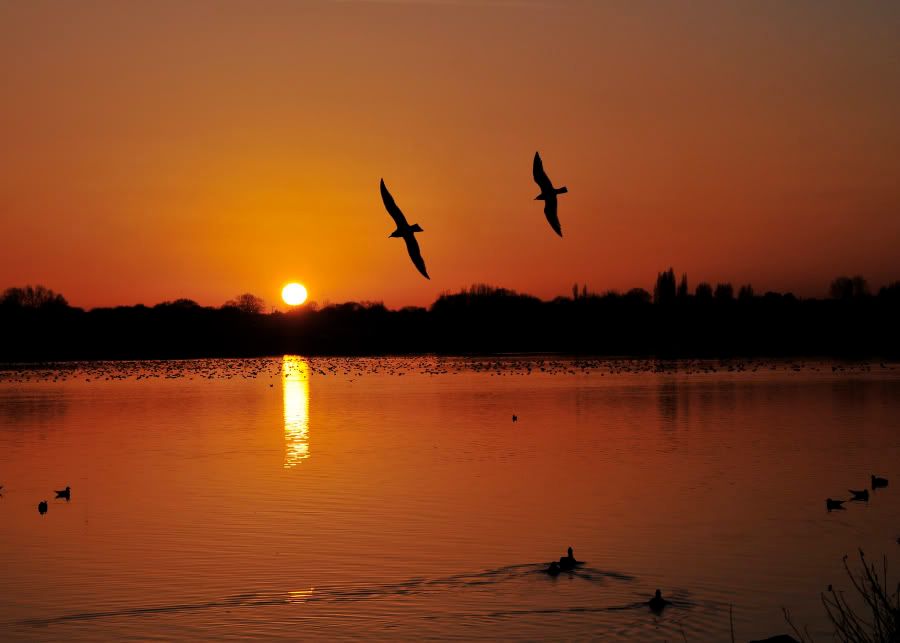 DSC_5745_01strighten.jpg