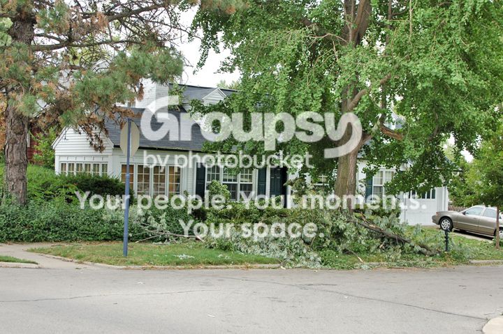Oakwood009.jpg