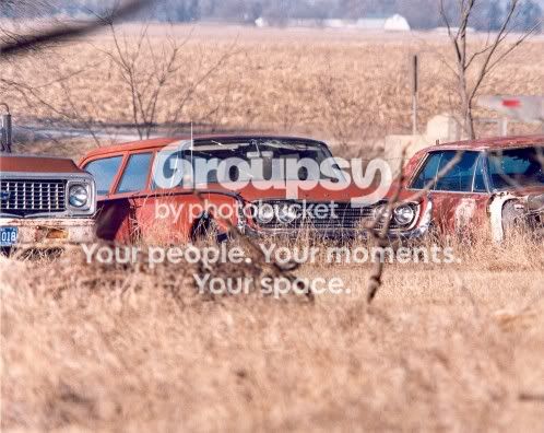 FordWagon1.jpg