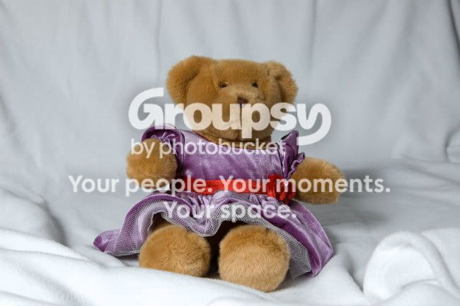 bear1.jpg