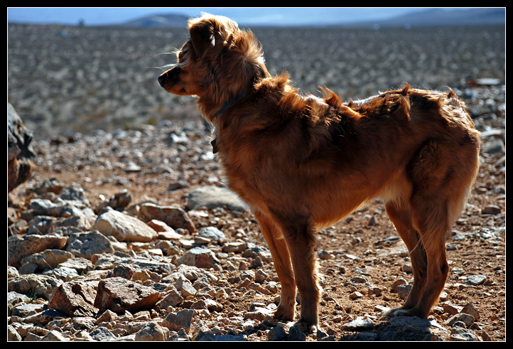 DSC_0083ppweb.png