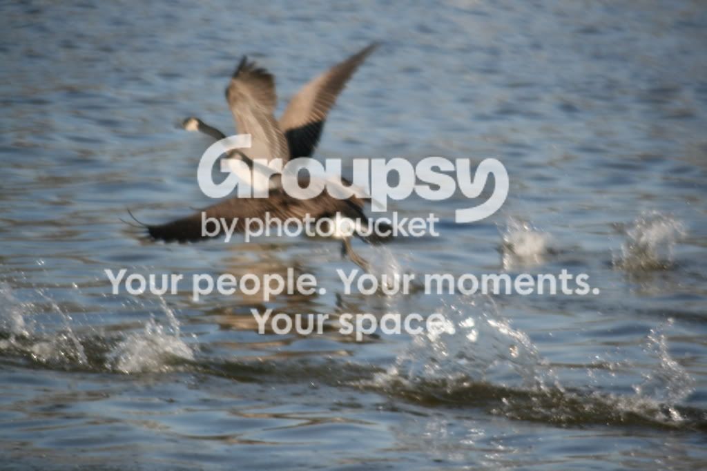 IMG_9960.jpg