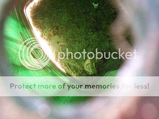 trashcanpic.jpg