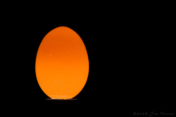 egg01.jpg