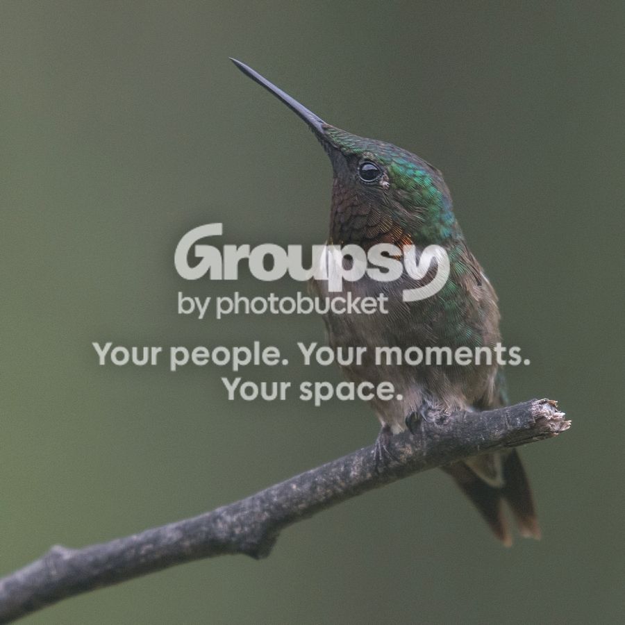 Hummer%203%20Aug%202016_zpszf4jbffd.jpg