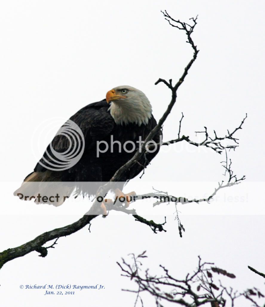 Hunkereddown1Largecopy.jpg