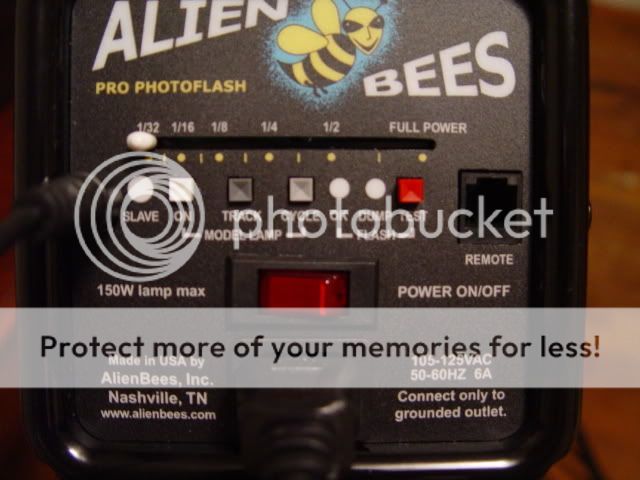 DSC08143.jpg