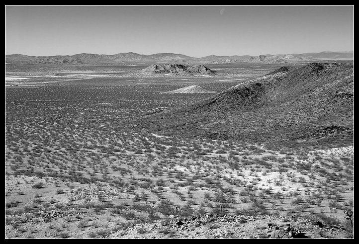 DSC_0061ppweb.png