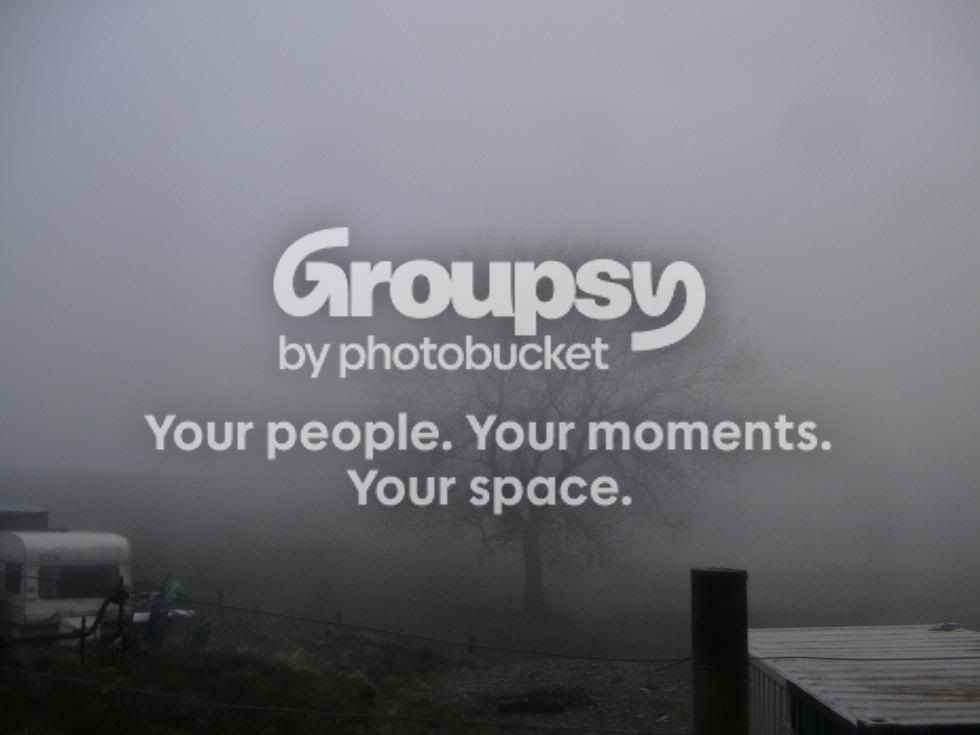 foggytree.jpg