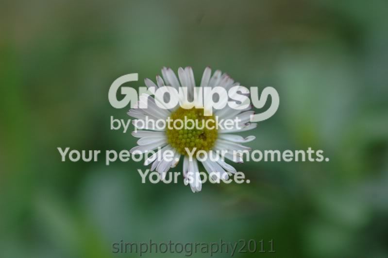 simonesphotos063.jpg