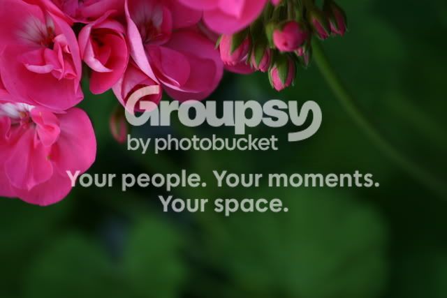 70-200firstshots001.jpg
