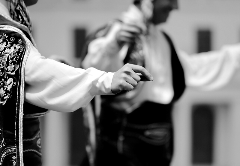 _MG_3460.jpg