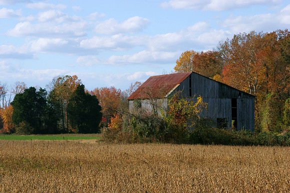 p111935289-3.jpg