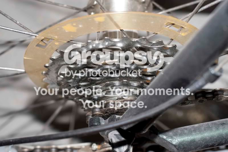vroom.jpg
