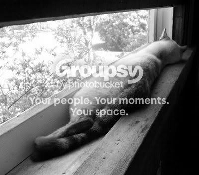 100_1305bw.jpg