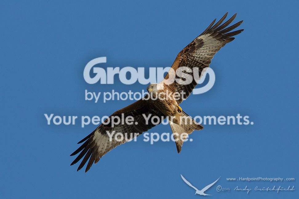 _HPP6776_zps2c8a94eb.jpg