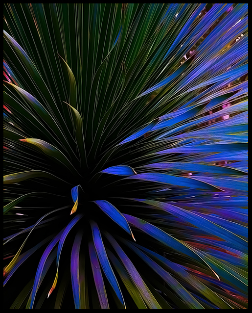 4890009740_9f56a2e70e_o.jpg