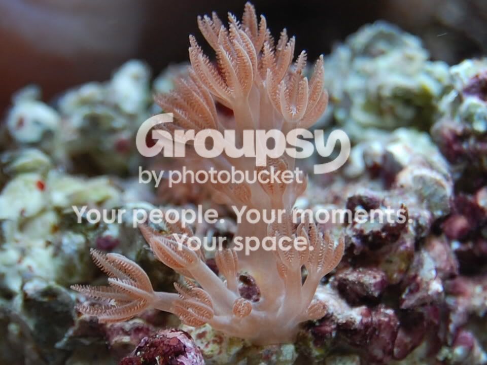 CSC_0102.jpg