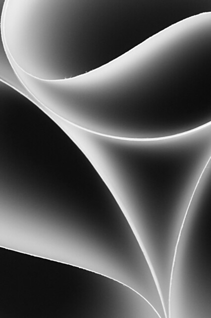 8522898434_2521781e4c_z.jpg
