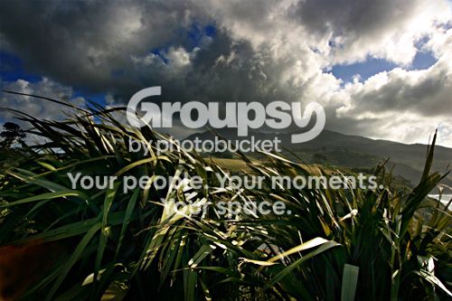green_sunset_1.jpg