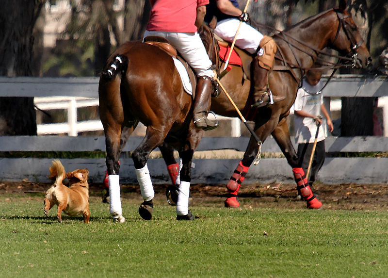 IMG_8336-XL.jpg