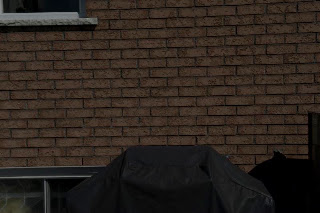 F22+at+ISO+100a.jpg