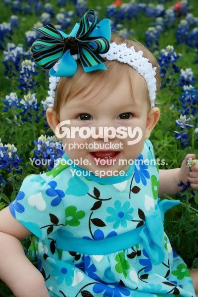 bluebonnets1.jpg