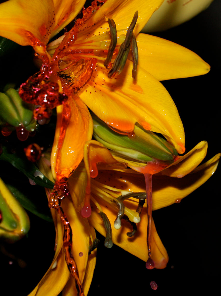 Colors_in_Motion_4_by_mack1time.jpg