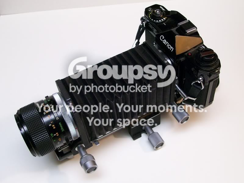 100_3231.jpg