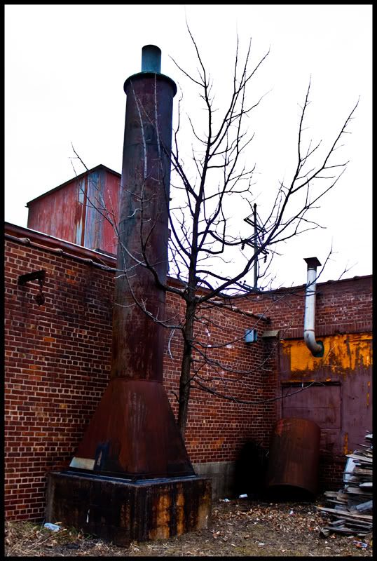 PoorTree800.jpg