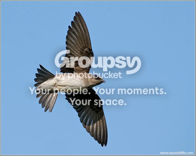 2007-07-07_7w.jpg