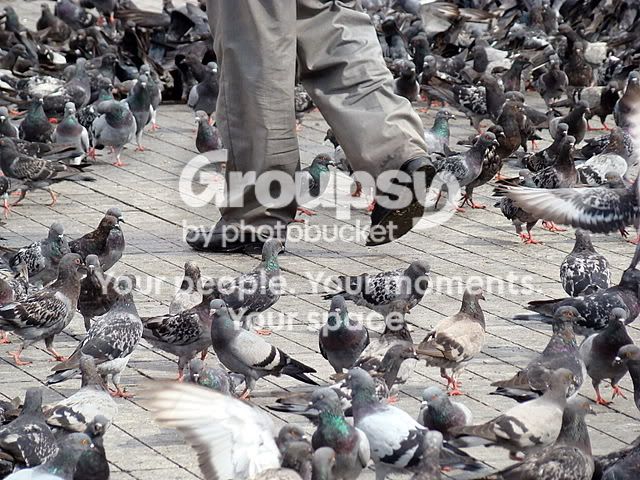 walktaksim100908083.jpg
