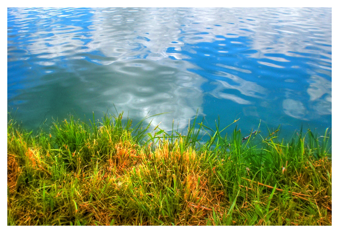 Reflection_by_s3vendays.jpg