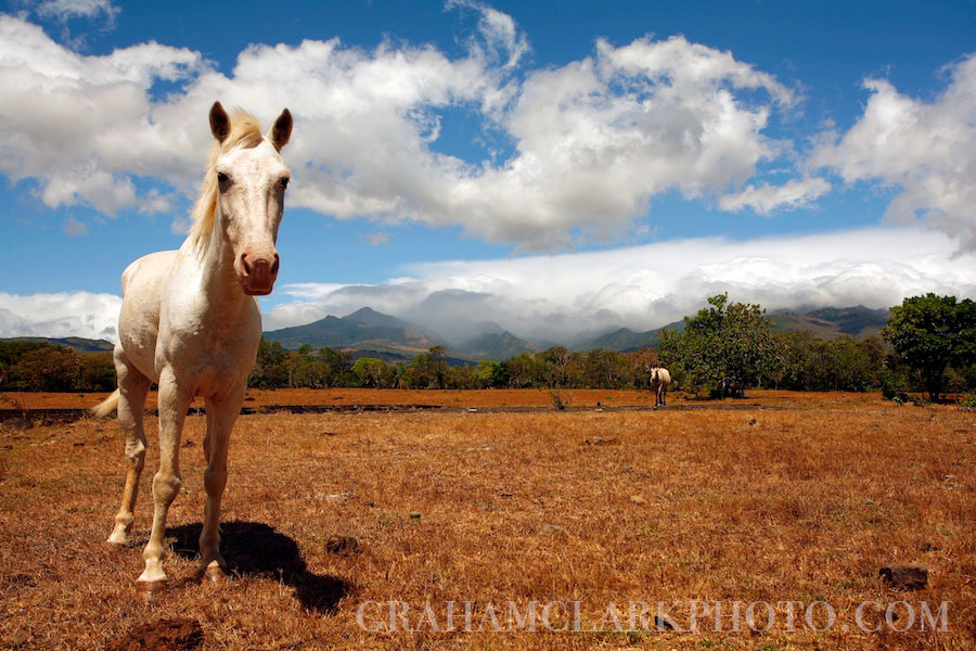 grahamclarkphoto-61.jpg