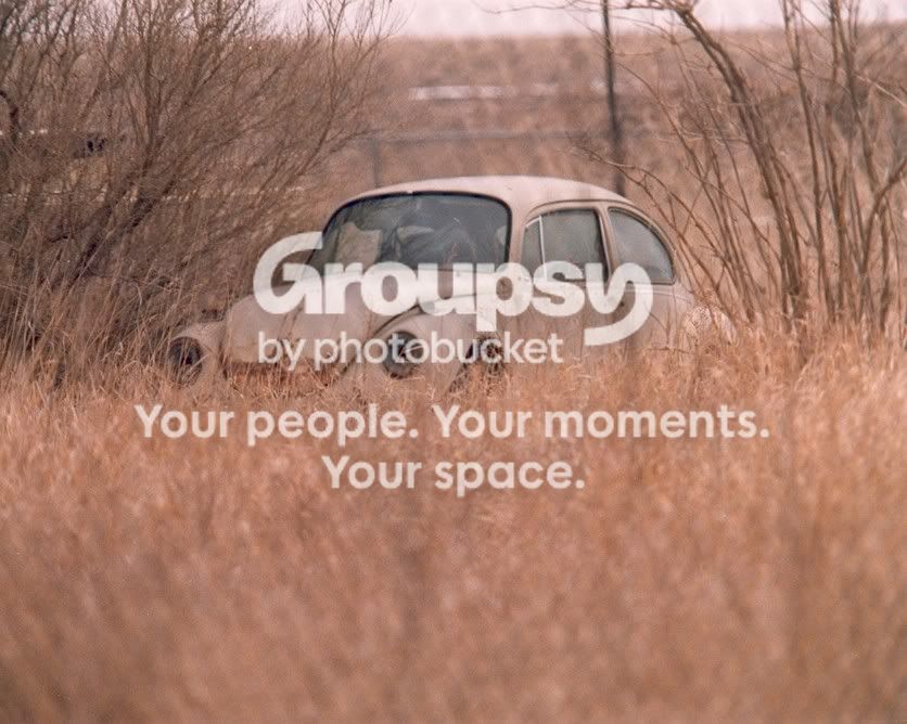 VolkswagonBeetle2.jpg
